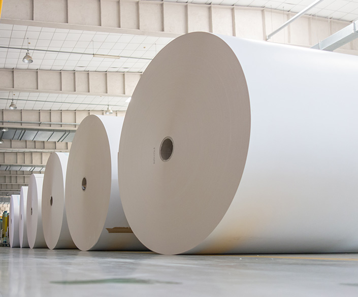 AQUALIFE Sosa Cáustica