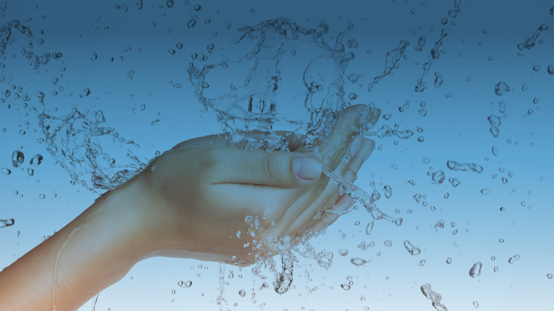 AQUALIFE MEXICO DISTRIBUIDORES MAYORISTAS