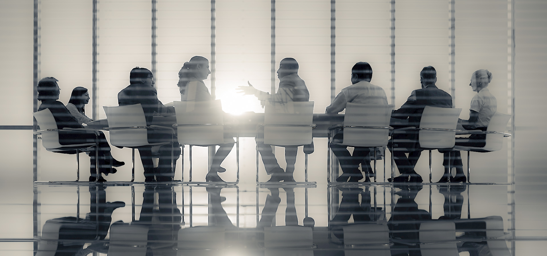 Private Companies, Fully Professionalized