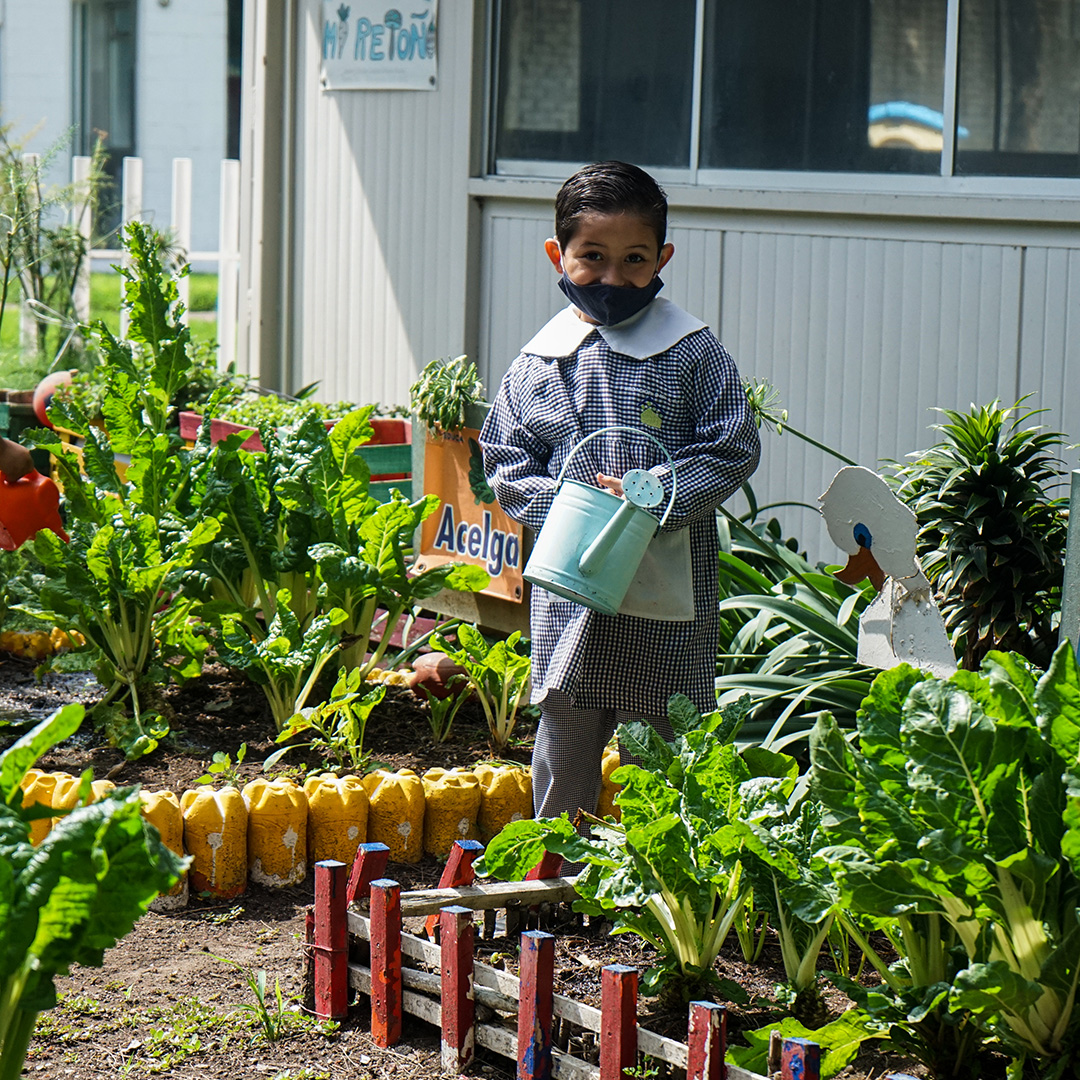 Objetivos Fundación DAR