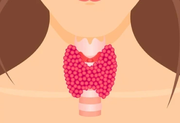 5 cosas importantes sobre la tiroides