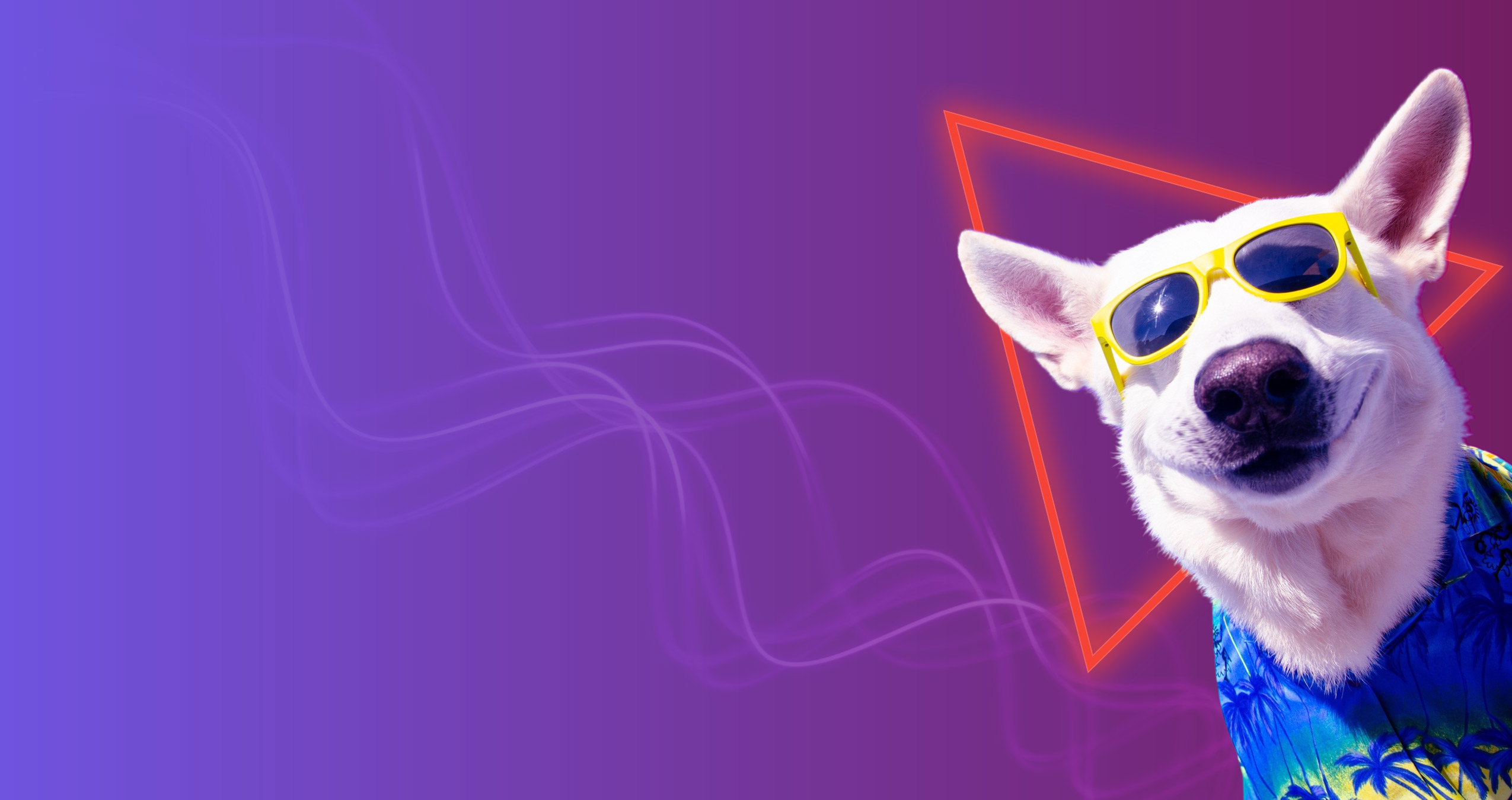 Campañas de busqueda